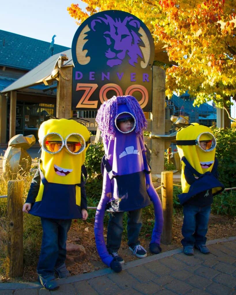 Get Tickets For Wild Fall Events at Denver Zoo Mile High on the Cheap