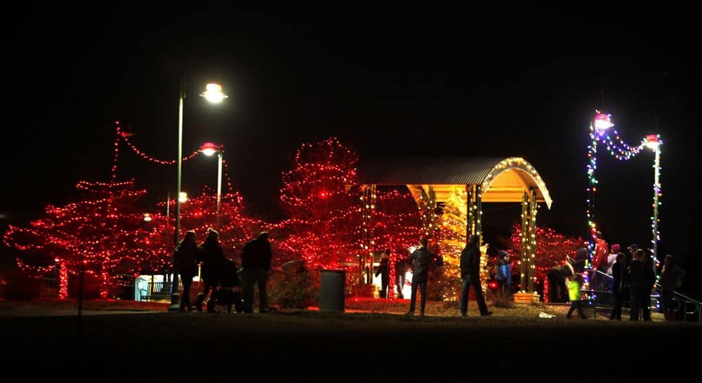 Lakewood Lights Brightens The Season. Tree Lighting Includes Free Entry