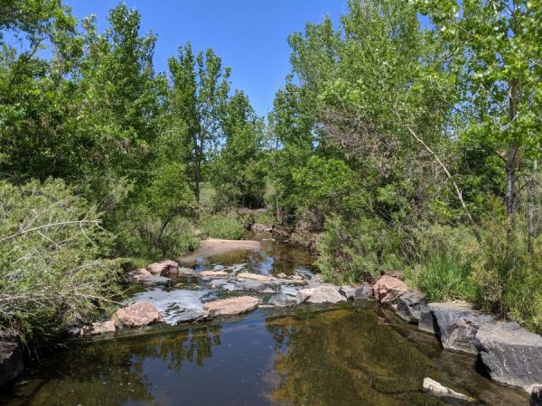 The 5 Best Walks With Shade In Denver - Mile High on the Cheap