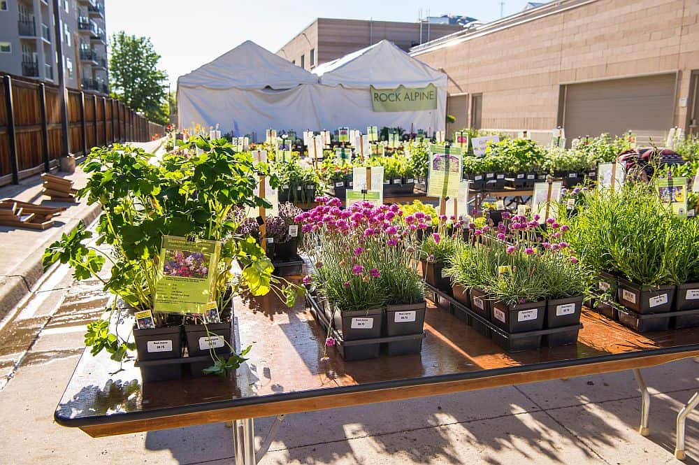 Spring plant sale Mile High on the Cheap